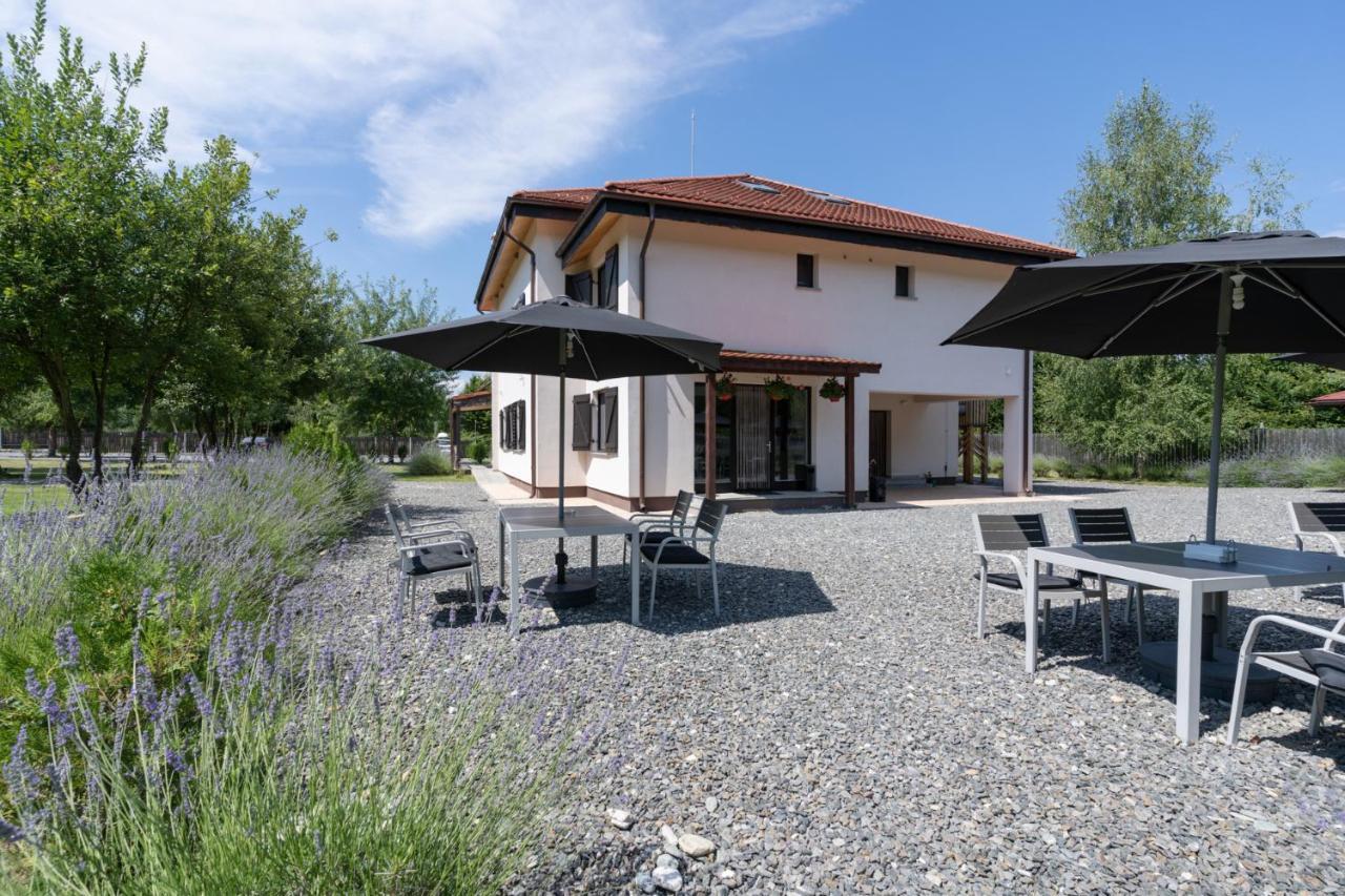 Pensiunea Negoiu Porumbacu de Sus Exterior photo