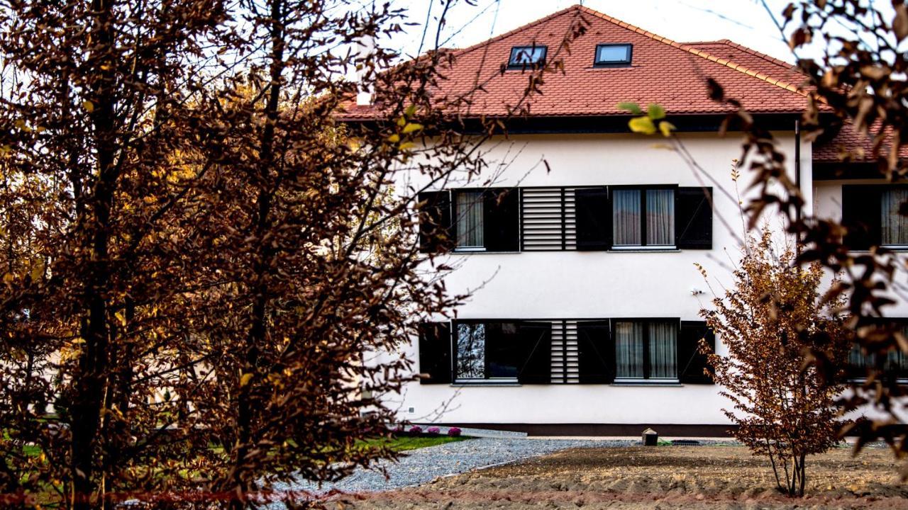 Pensiunea Negoiu Porumbacu de Sus Exterior photo